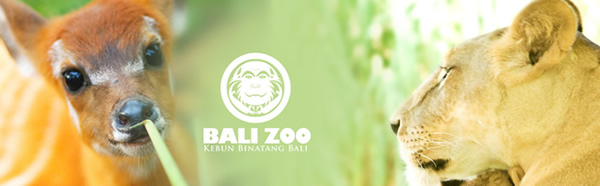 bali zoo park images